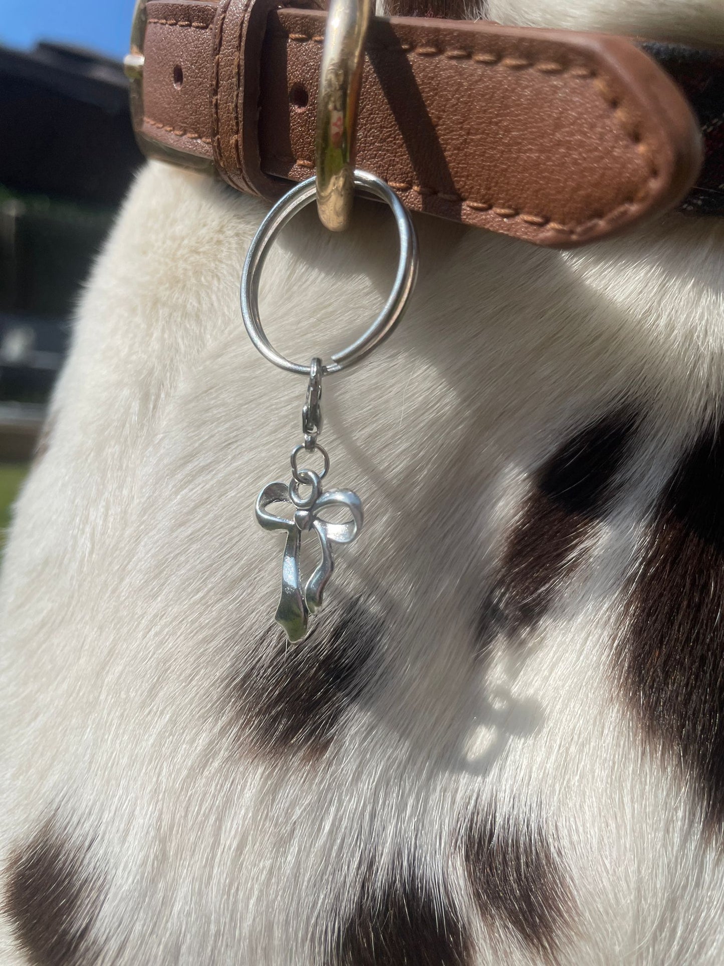 Silver Bow Blingz